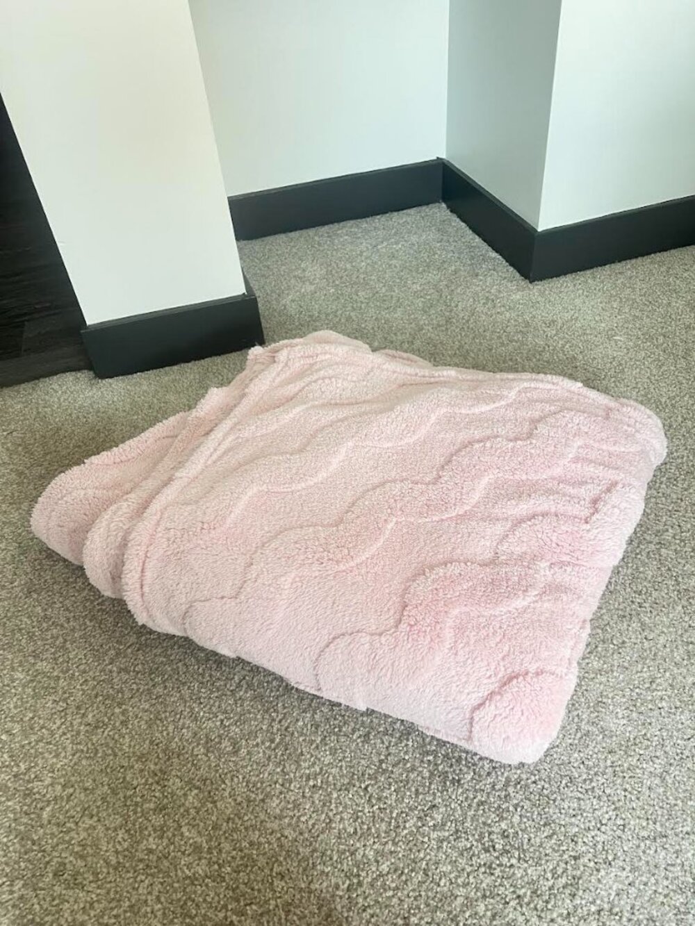 Soft Pink Blanket